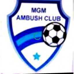 club logo